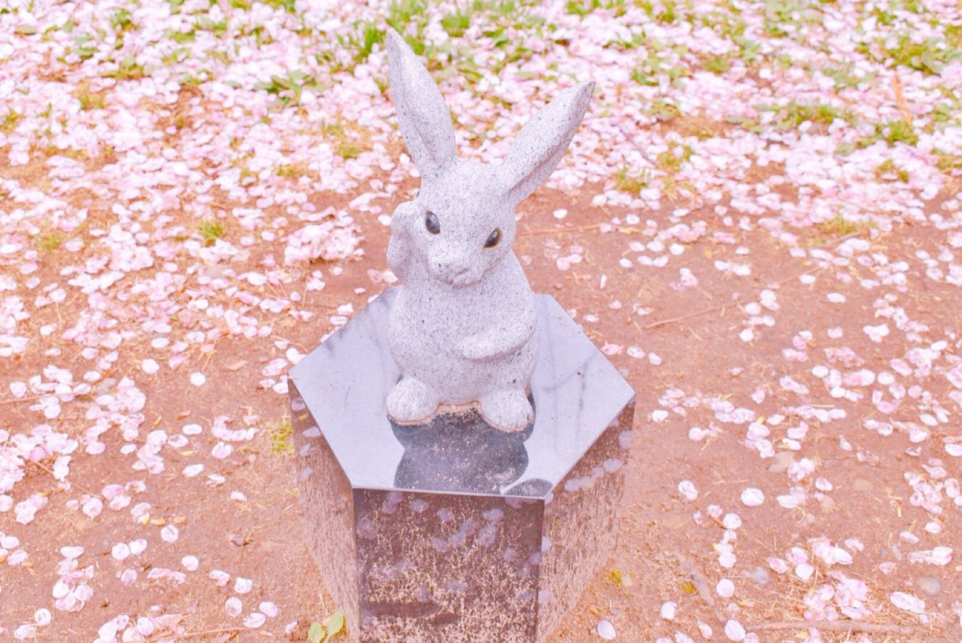 うさぎマニアは必見 出雲大社 出雲大社といえば 古事記の 因幡の白兎 で有名ですが まさかこんなにうさぎの像が By Remi Nakata Medium