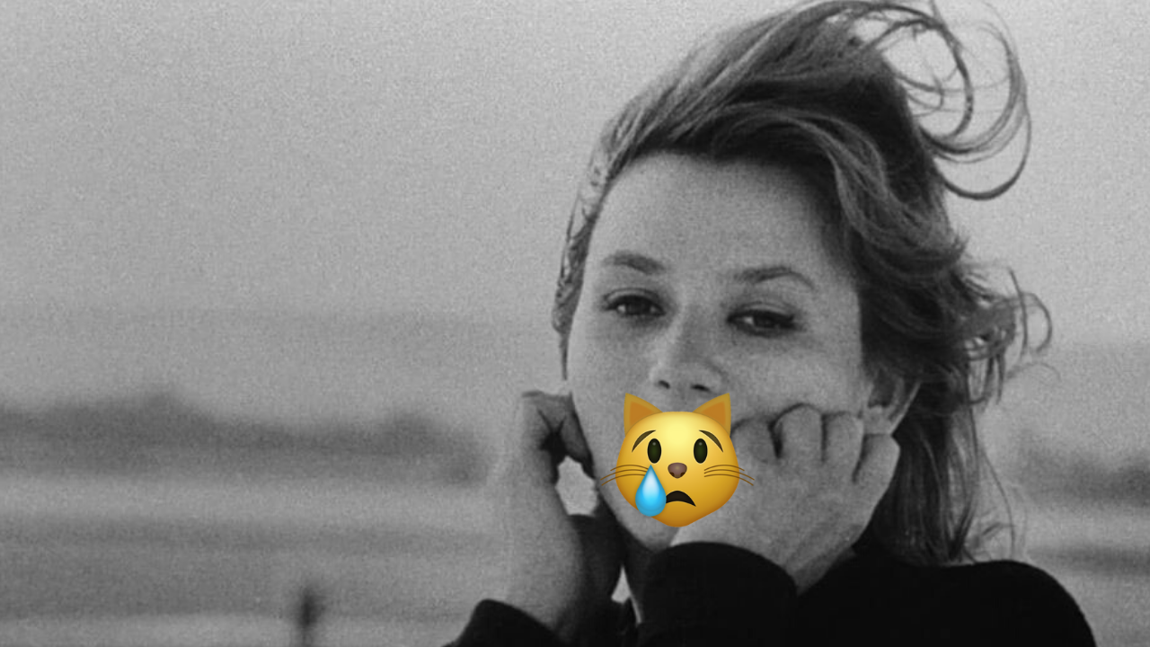 The Invention of Chris Marker. A YouTube documentary about legendary