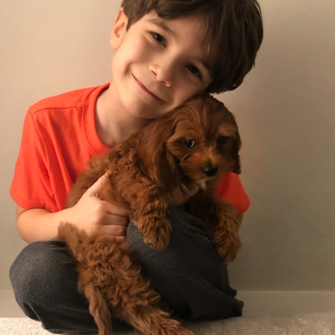 chewy puppy