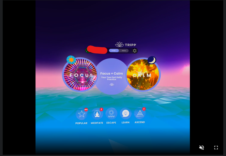 tripp oculus quest