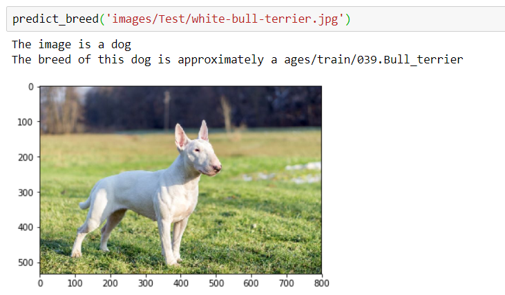 Dog Breed Detection and Classification with Deep Learning CNN | by Aya ...