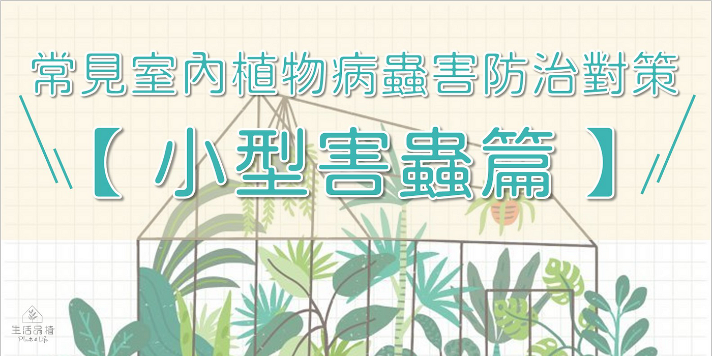 常見室內植物病蟲害防治及對策 小型害蟲篇 植物感染紅蜘蛛 蚜蟲或介殼蟲該怎麼處理 學會這幾招讓妳懂得保護自己的植物 以下介 By 彭彭 常見室內植物病蟲害防治及對策 小型害蟲篇 植物感染紅蜘蛛 蚜蟲或介殼蟲該怎麼處理 學會這幾招讓妳懂得保護自己的植物 以下介 By 彭彭