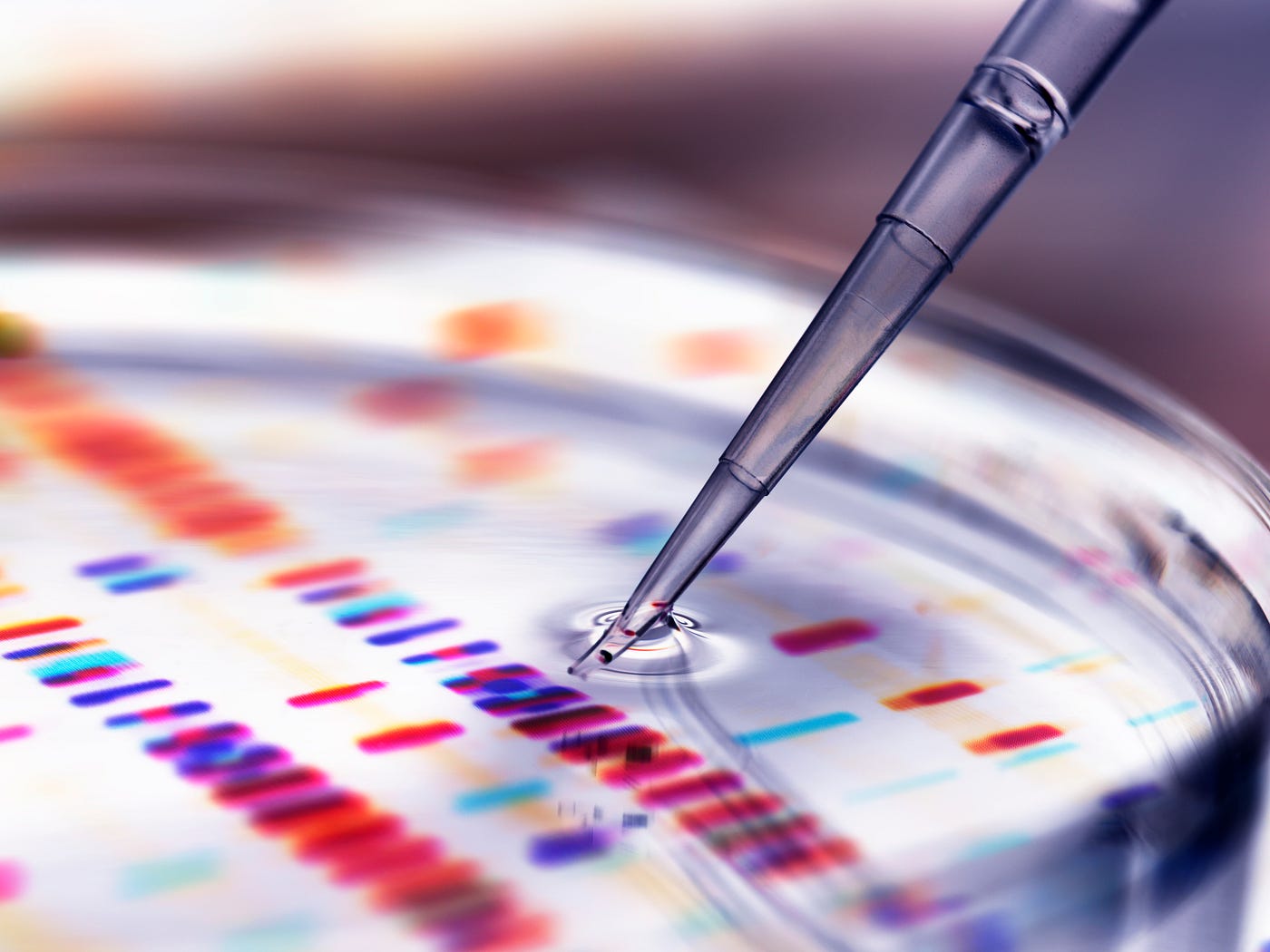 A pipette adds a sample to petri dish with DNA profiles in background.
