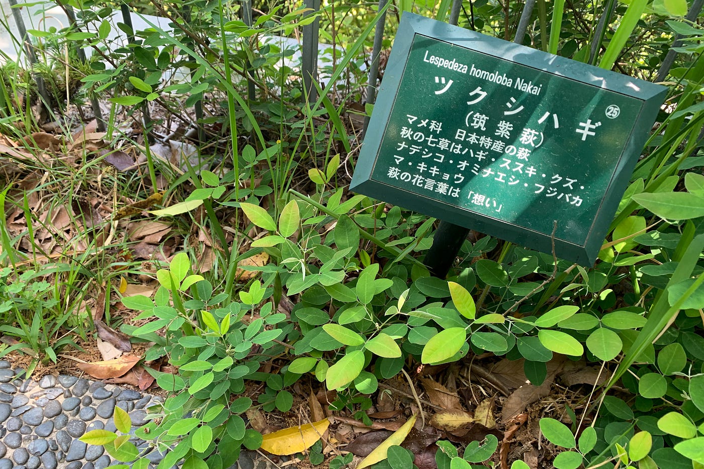 日本人の 自然観 と環境保全型農業 Books 雑草が教えてくれた日本文化史 By Haruna Watanabe 食と農と風景 Medium