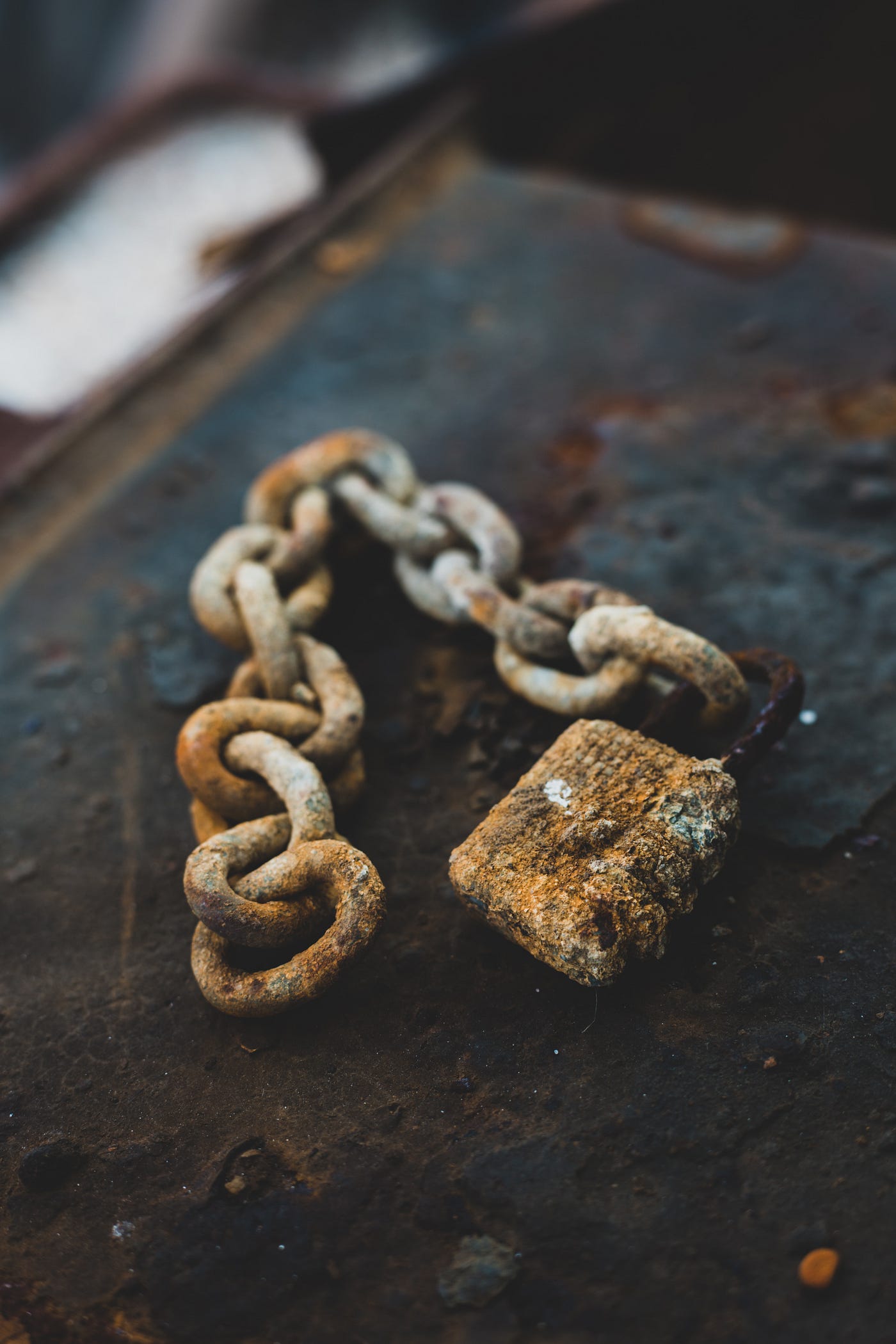 The Truth Shall Set You Free Do These Words Speak To You In A By Bernardo Ladera Medium The Truth Shall Set You Free Do These Words Speak To You In A By Bernardo Ladera Medium