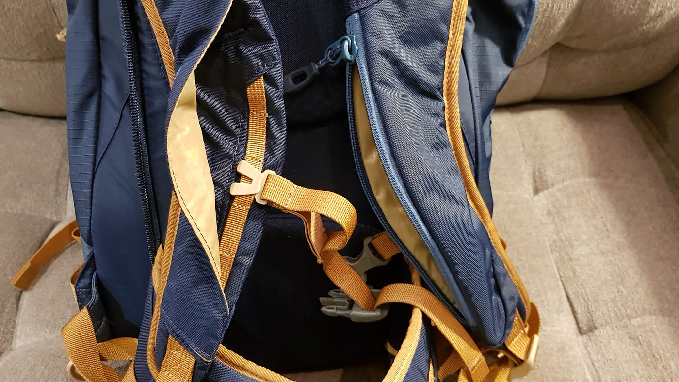 dakine heli pro reviews