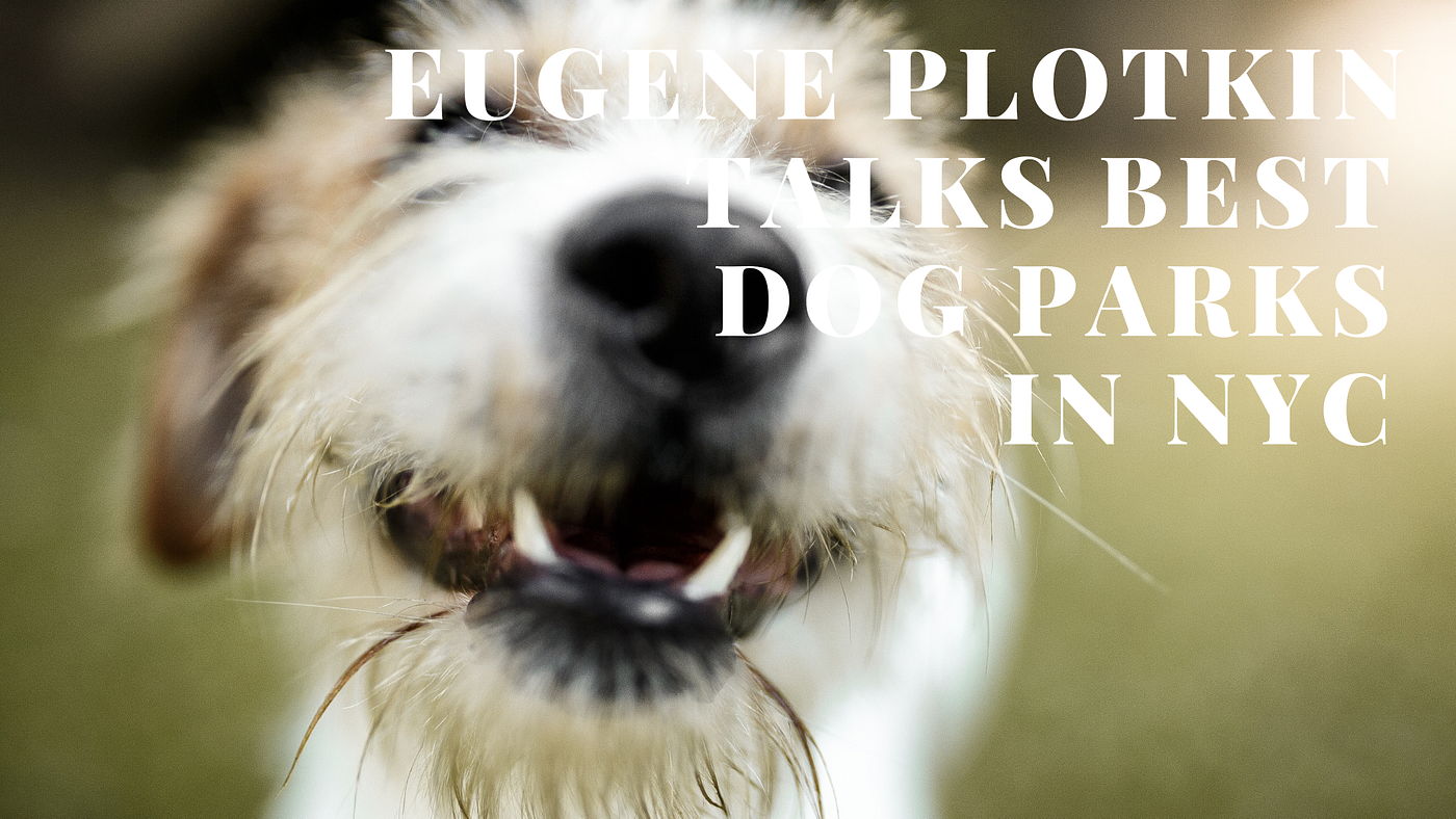 Eugene Plotkin Talks Best Dog Parks in NYC by Eugene Plotkin Aug
