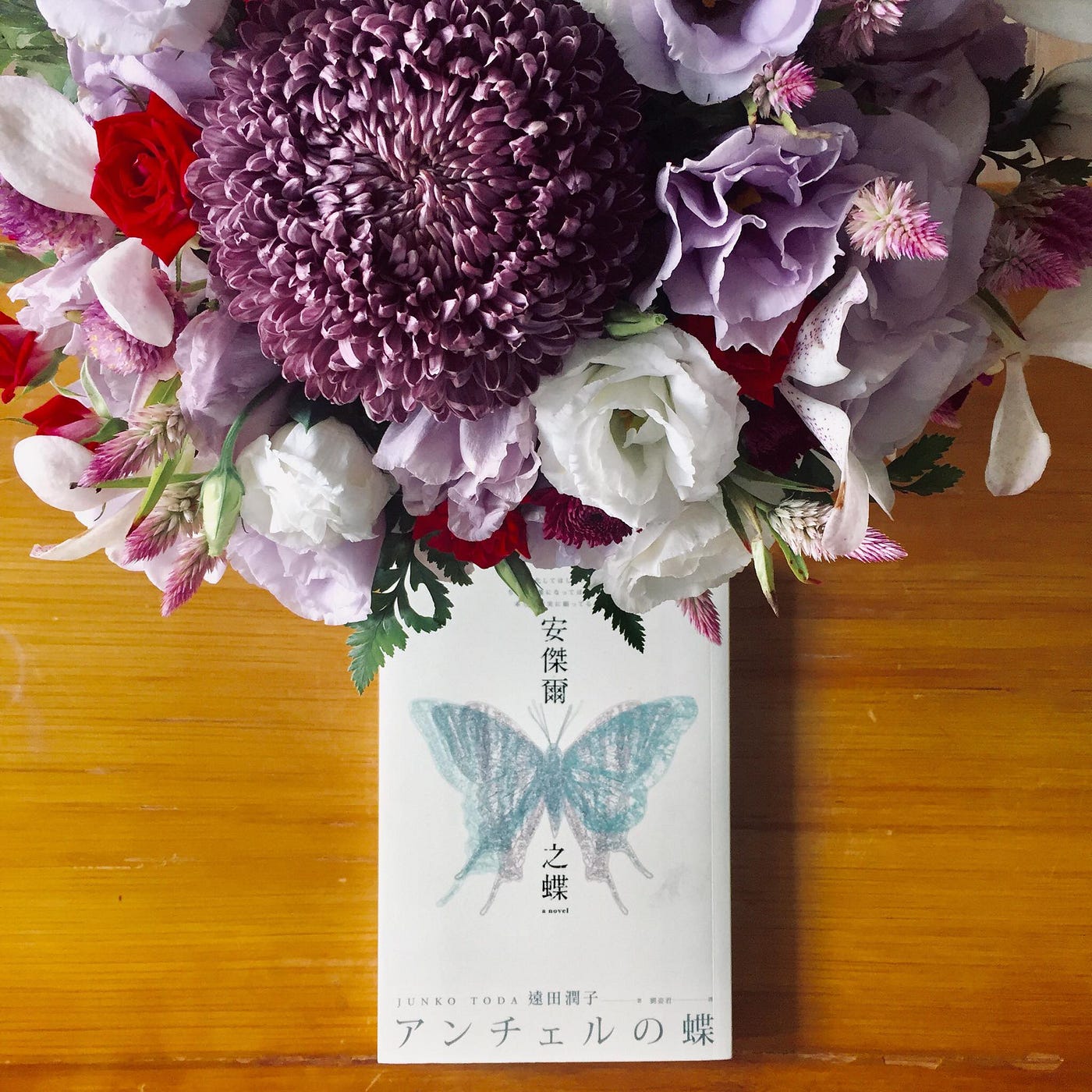 羽化蛻變後 並非只有美麗還有死亡 讀遠田潤子 安傑爾之碟 希望蛹能羽化 好好變成蝴蝶 其實他一心一意這樣希望 然而 卻也認為不可以懷抱這 By 林廷璋ryan Lin 櫞椛文庫