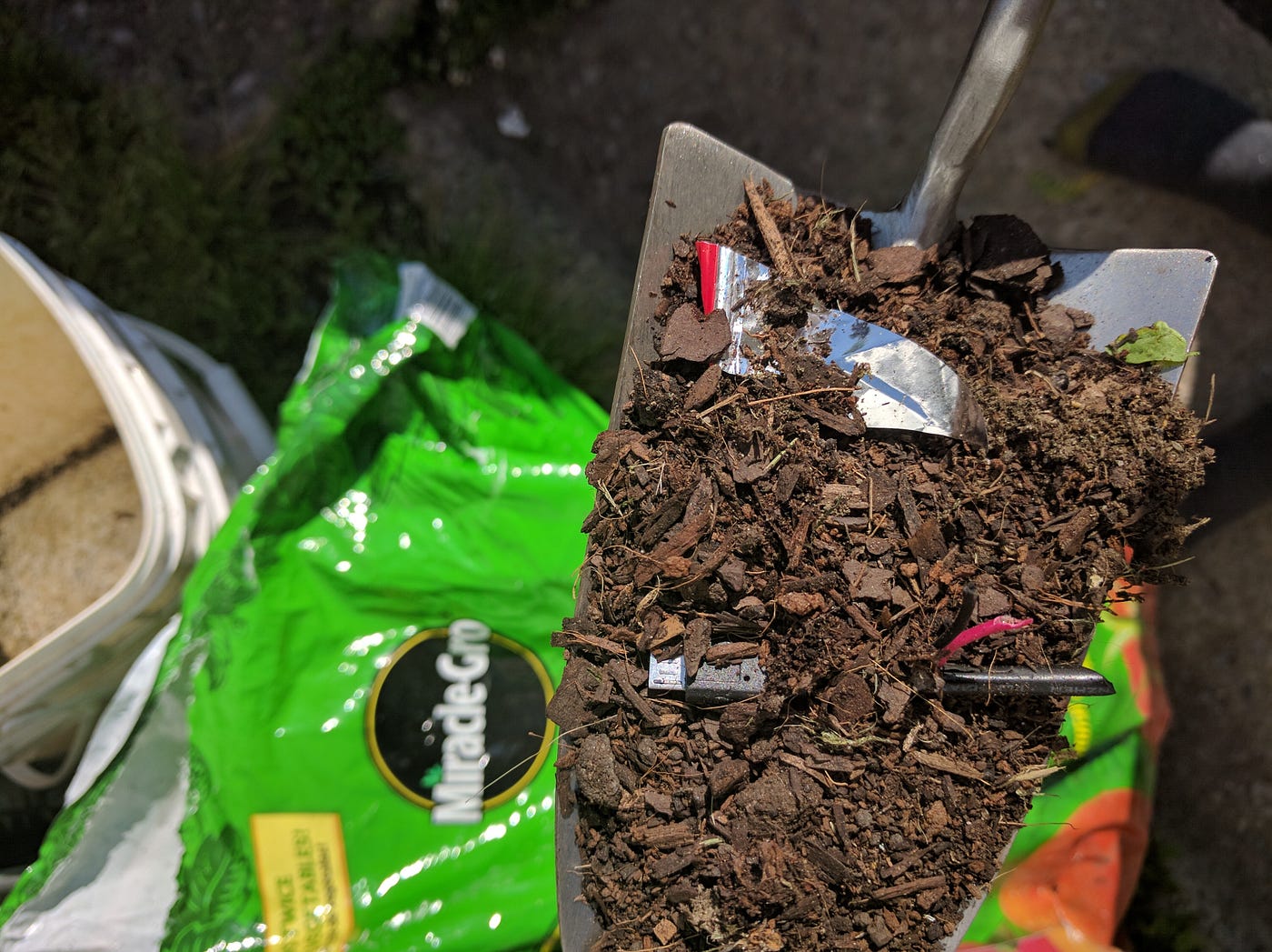 What You May Find In A Bag Of Organic Choice Garden Soil From Miracle Gro By Anne Marie Blankenship Medium What You May Find In A Bag Of Organic Choice Garden Soil From Miracle Gro By Anne Marie Blankenship Medium