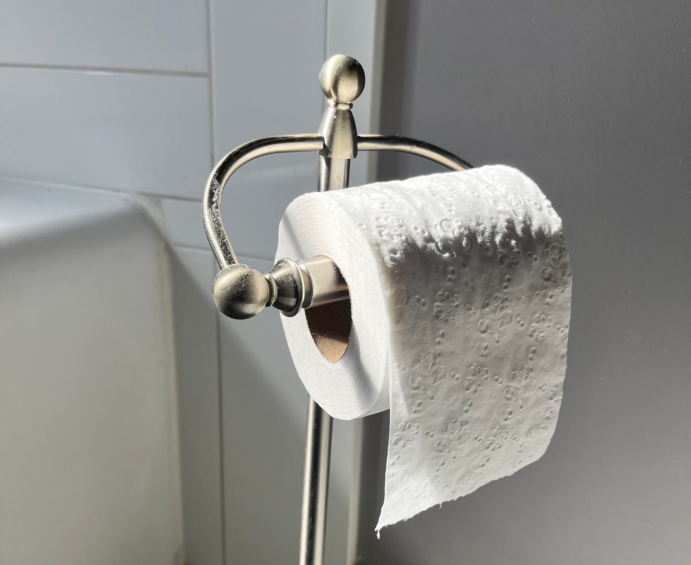 The Right Way to Hang Toilet Paper by Joe Moody The Mood Mar
