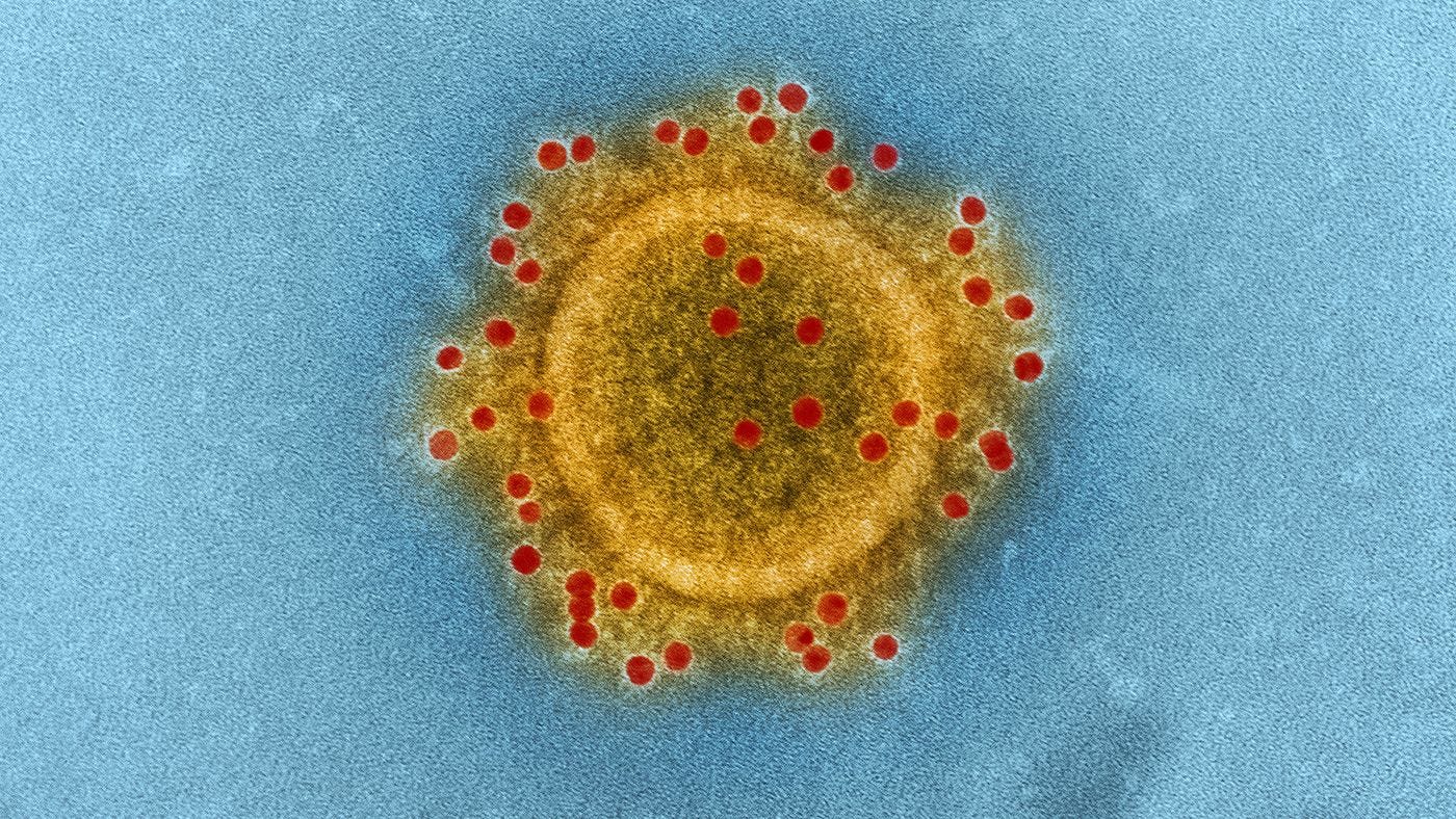 15 Unexpected, Amazing Facts about Viruses You Probably Didn’t Know