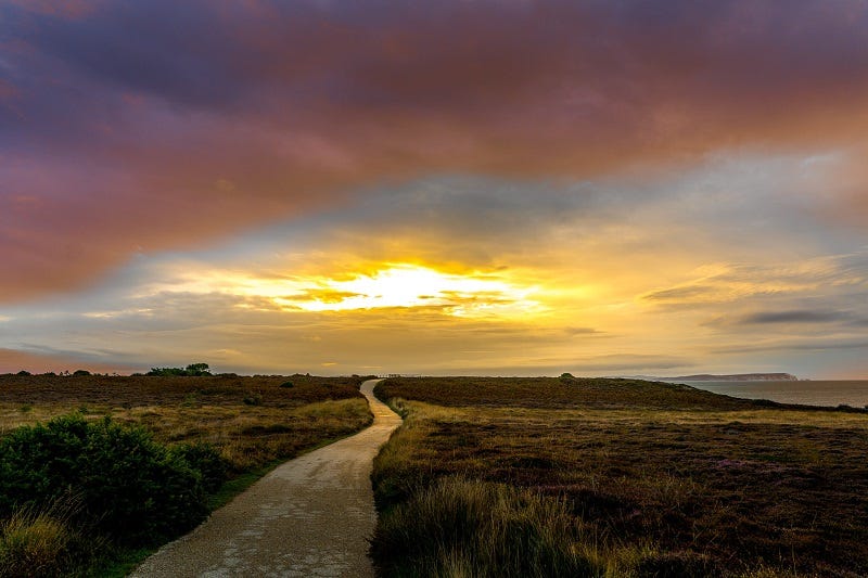A path in golden lighting.