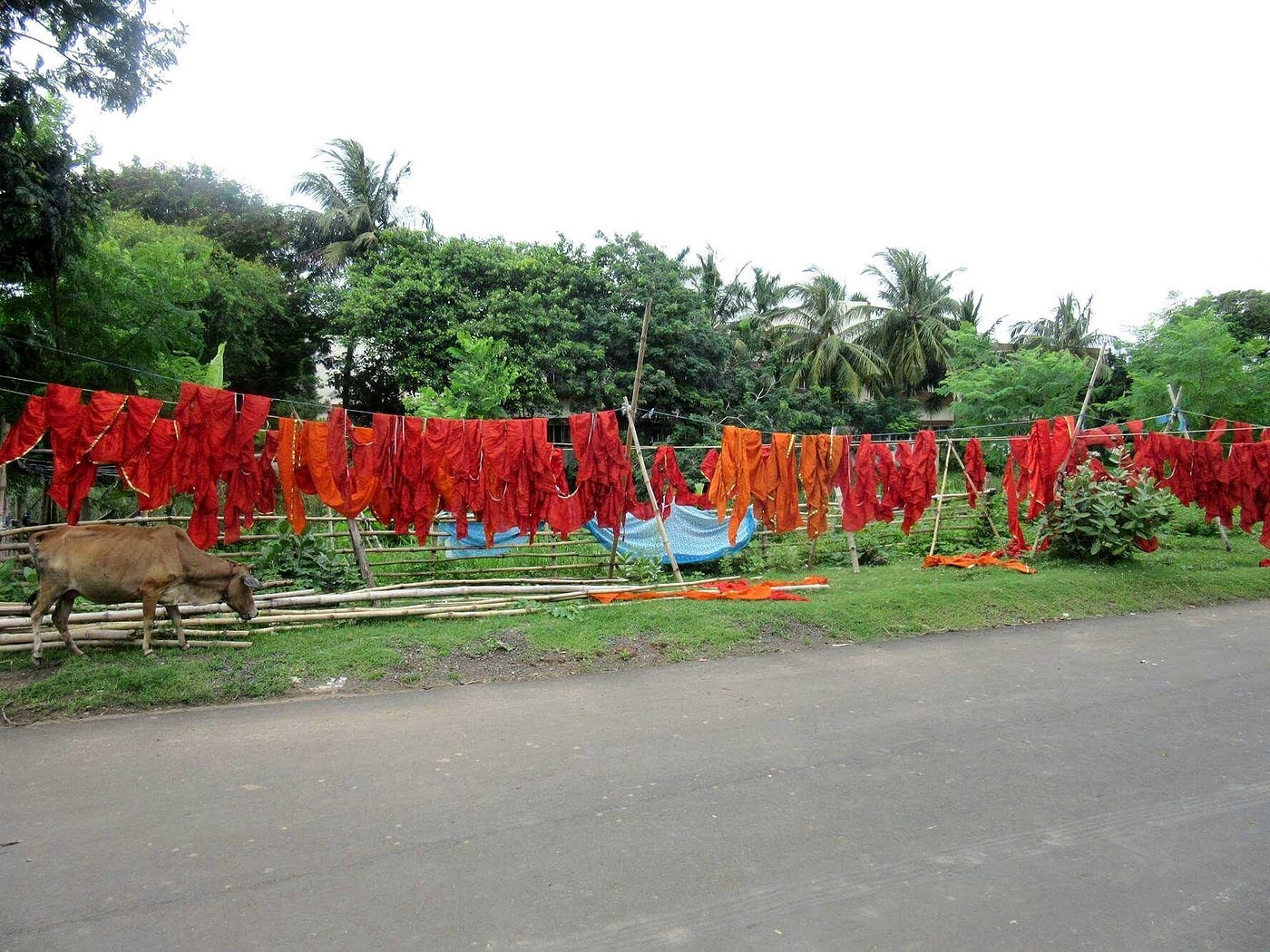 Applying to Land Economy. Sam, now a Land Economy student at… by