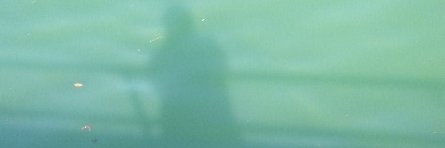 Shadow — actually, mine — cast on green water.