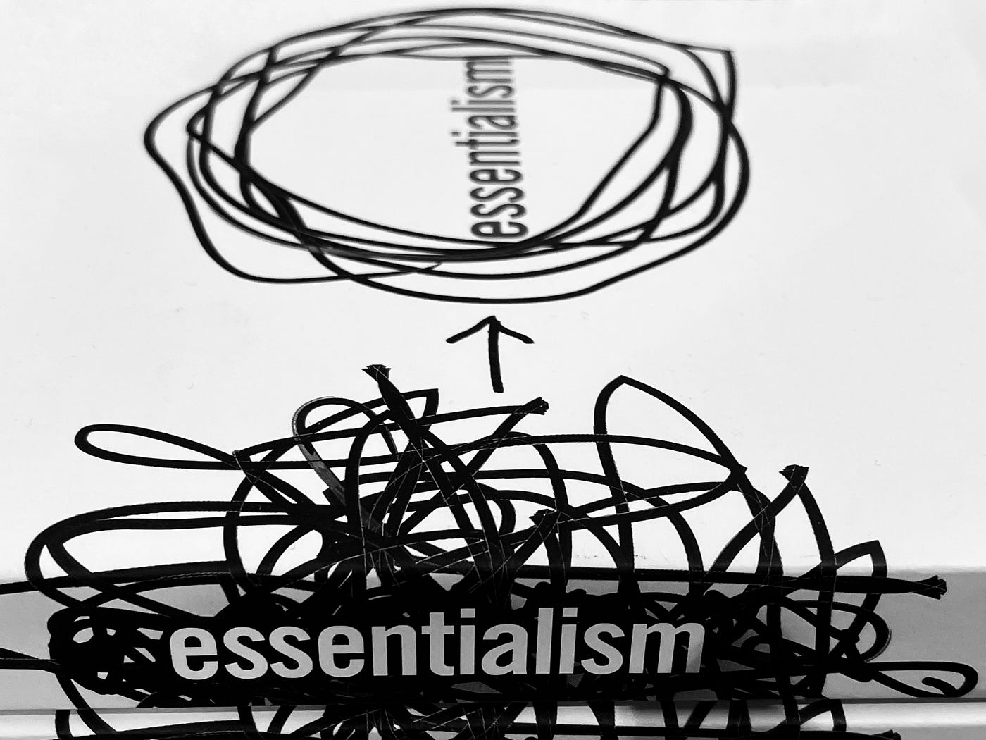 The Essence Of Essentialism Essentialism By Greg McKewon Is A Book 