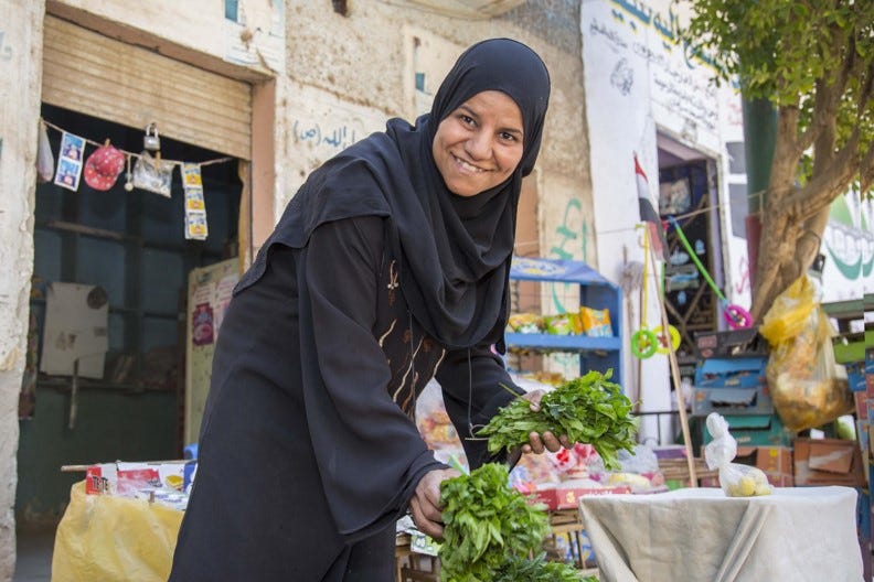 SheCan microloans