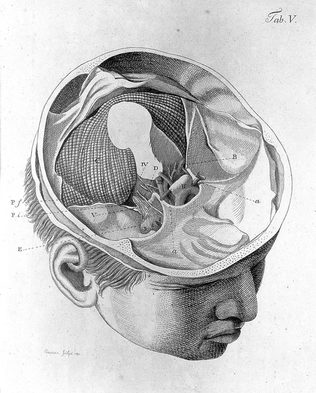 How the brain works. Смотреть фото How the brain works. Смотреть картинку How the brain works. Картинка про How the brain works. Фото How the brain works