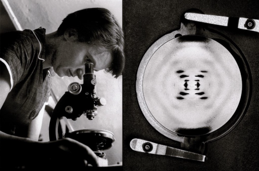 In Defense Of Rosalind Franklin. The Discoverer Of The Structure Of DNA ...