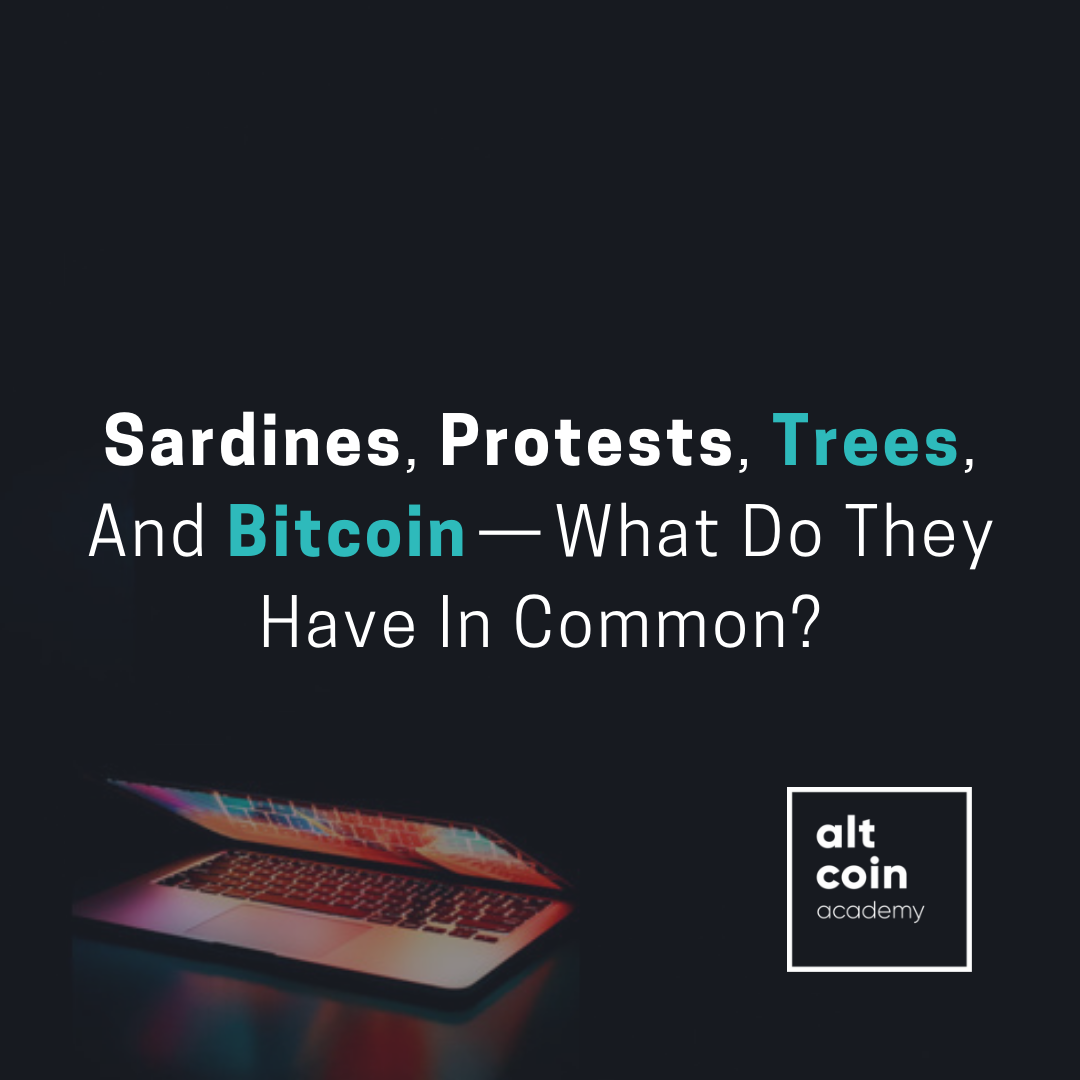 Sardines, Protests, Trees, And Bitcoin — What Do They Have In Common