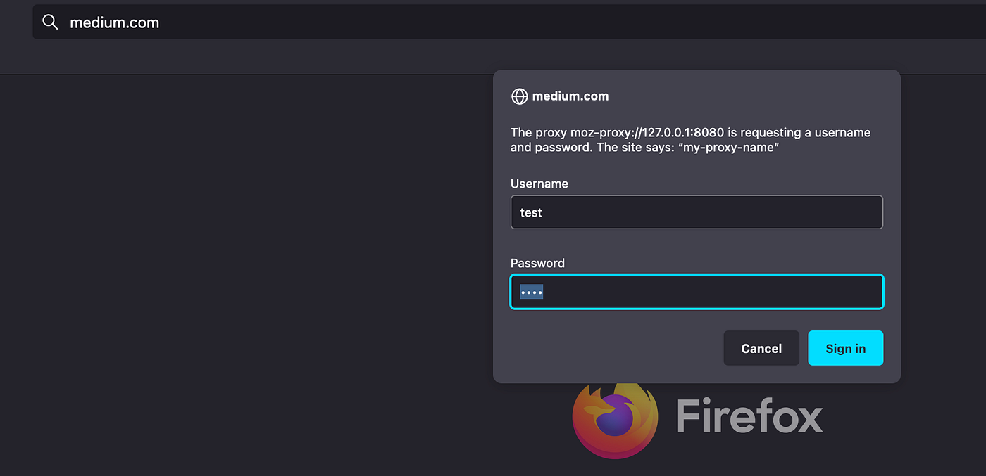 Setup a web proxy server with Docker | by Stefan Pöltl | Medium