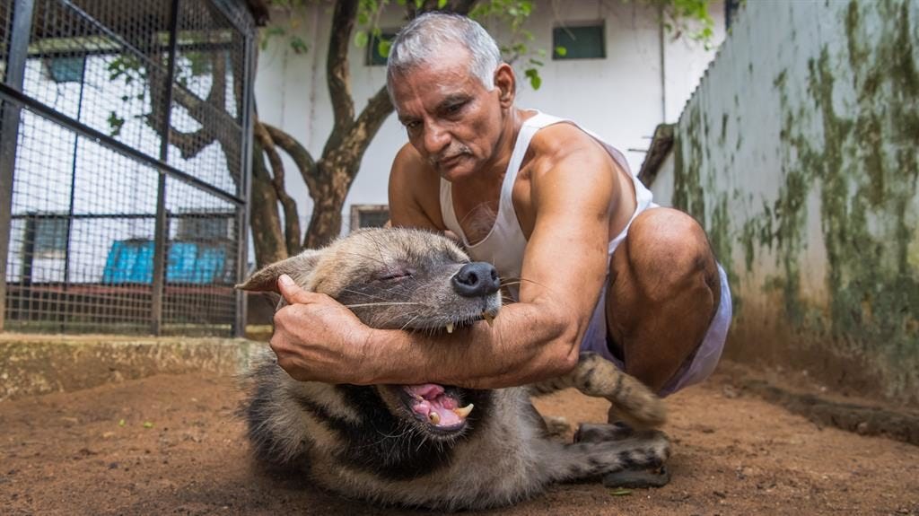 Saluting The Noah Of Animal Ark By Avinash Gavai Ketto Blog Medium