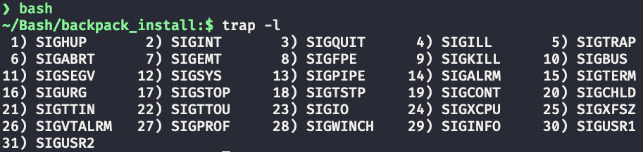 8 Bash Script Tips For Automation Projects By Shinichi Okada Towards Data Science 8 Bash Script Tips For Automation Projects By Shinichi Okada Towards Data Science