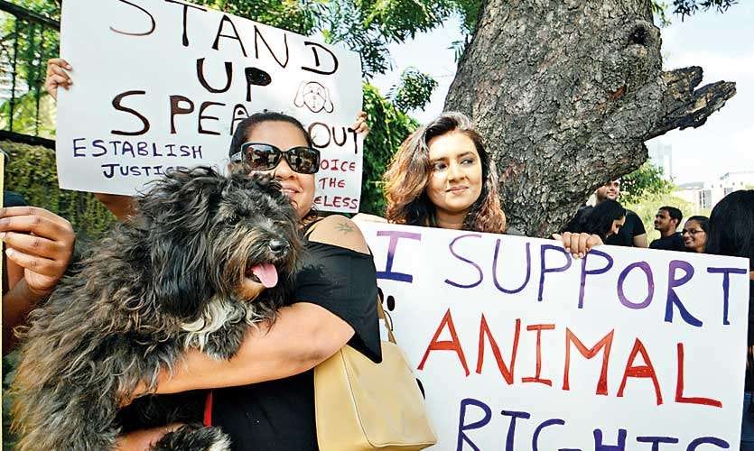 people rallying for animal rights