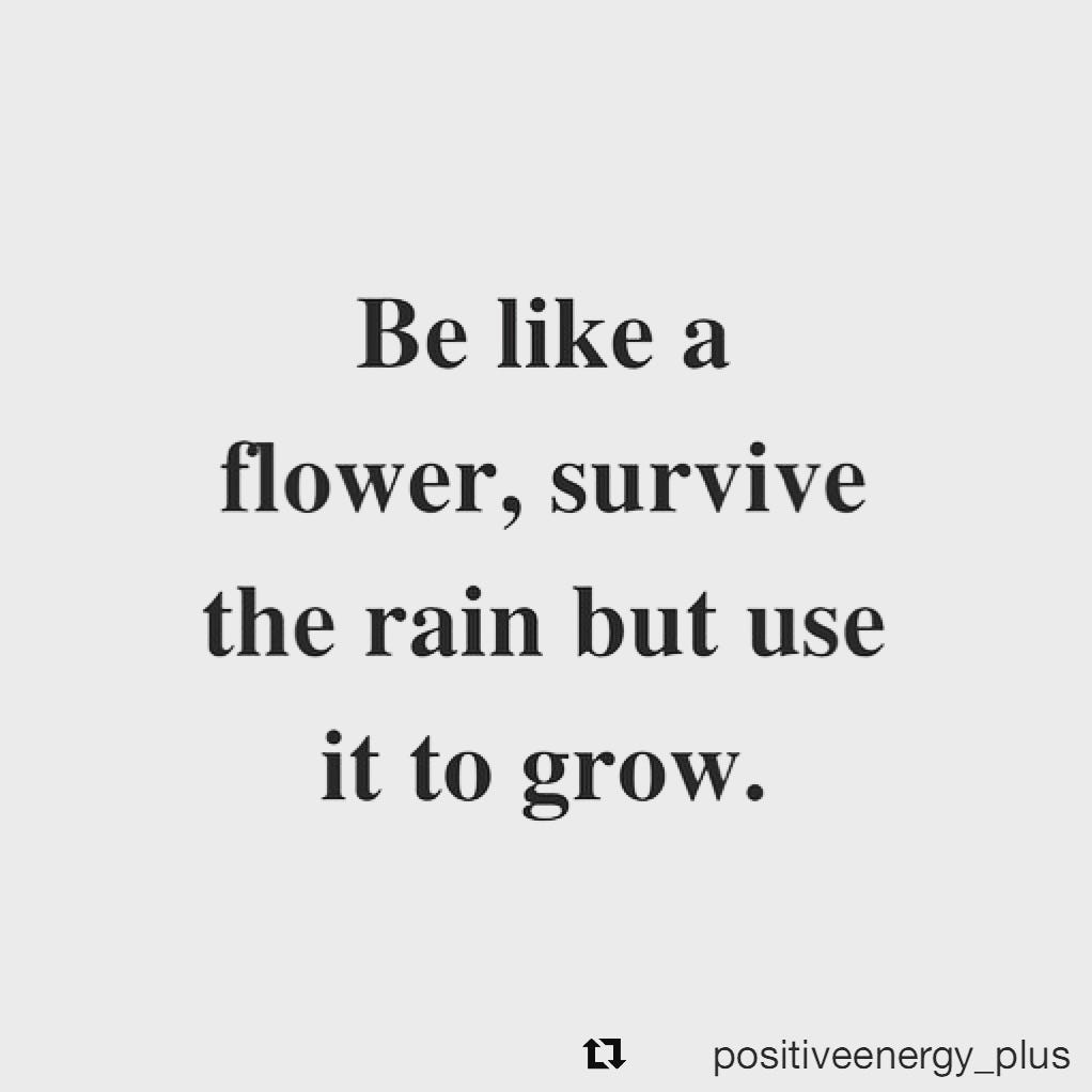 “Be like a flower. Survive the rain but use it to grow.” by Brian