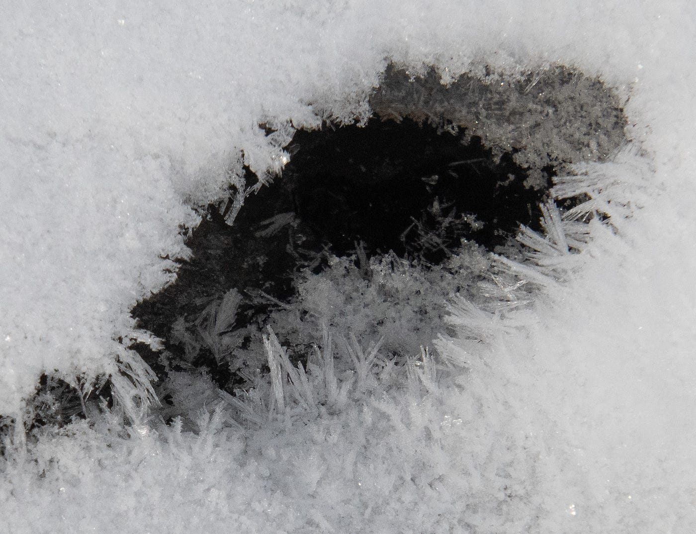 Very Nice Ice. Images from a frigid January morning | by Randy Fredlund ...