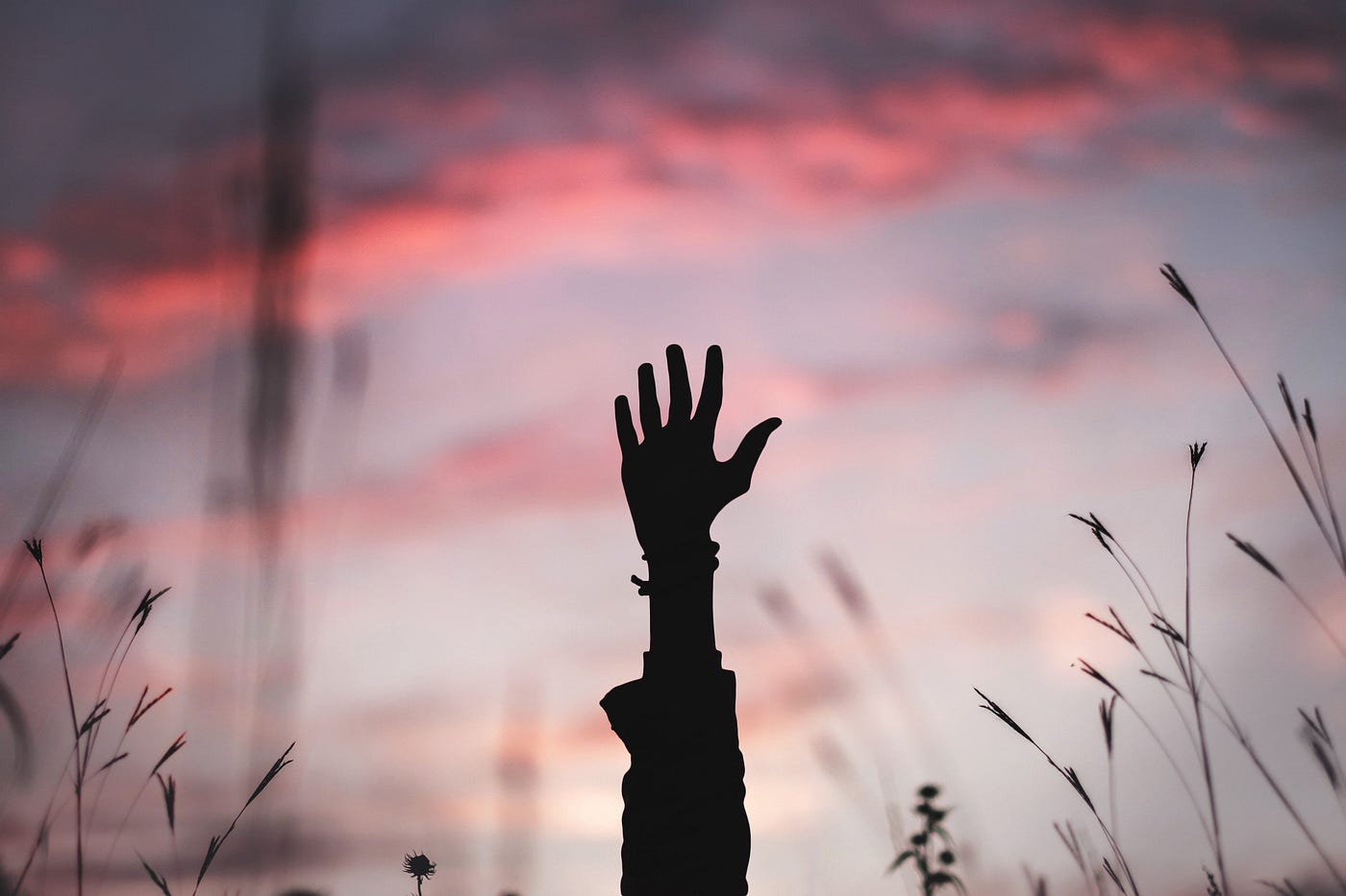 single hand lifted up amidst wheat with a blurry purple and pinkish sunset in the background