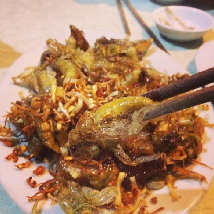 Goose bumps' with 3 dishes from insects that are very popular in ...