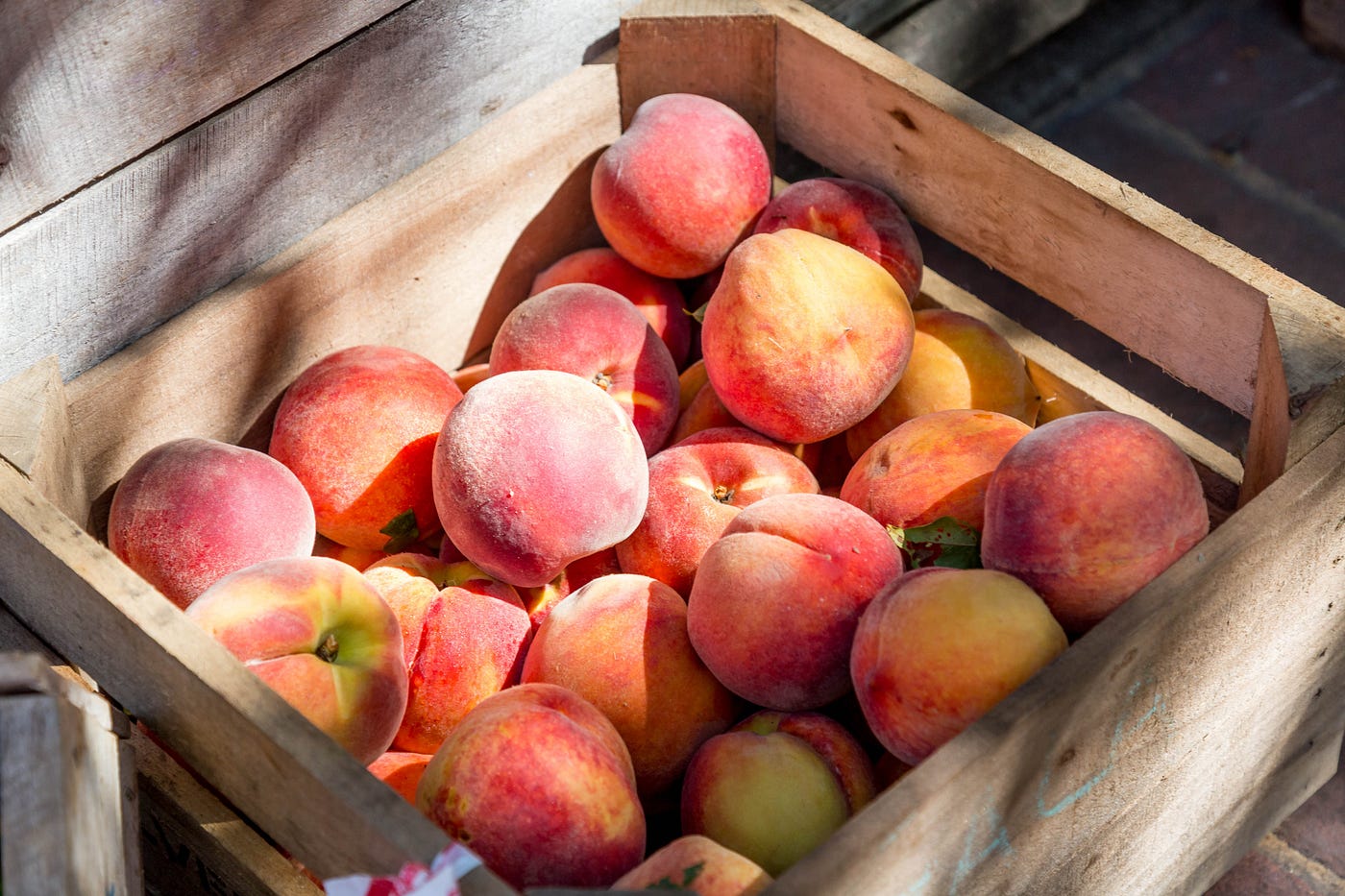 These foods will disappear without pollinators. | by LW | Age of ...