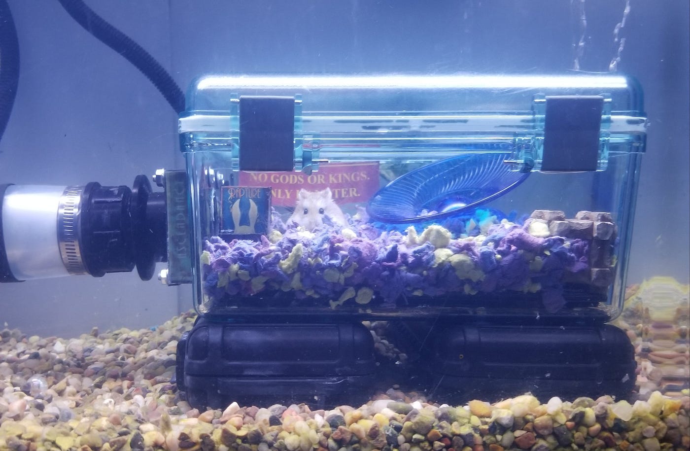underwater hamster cage