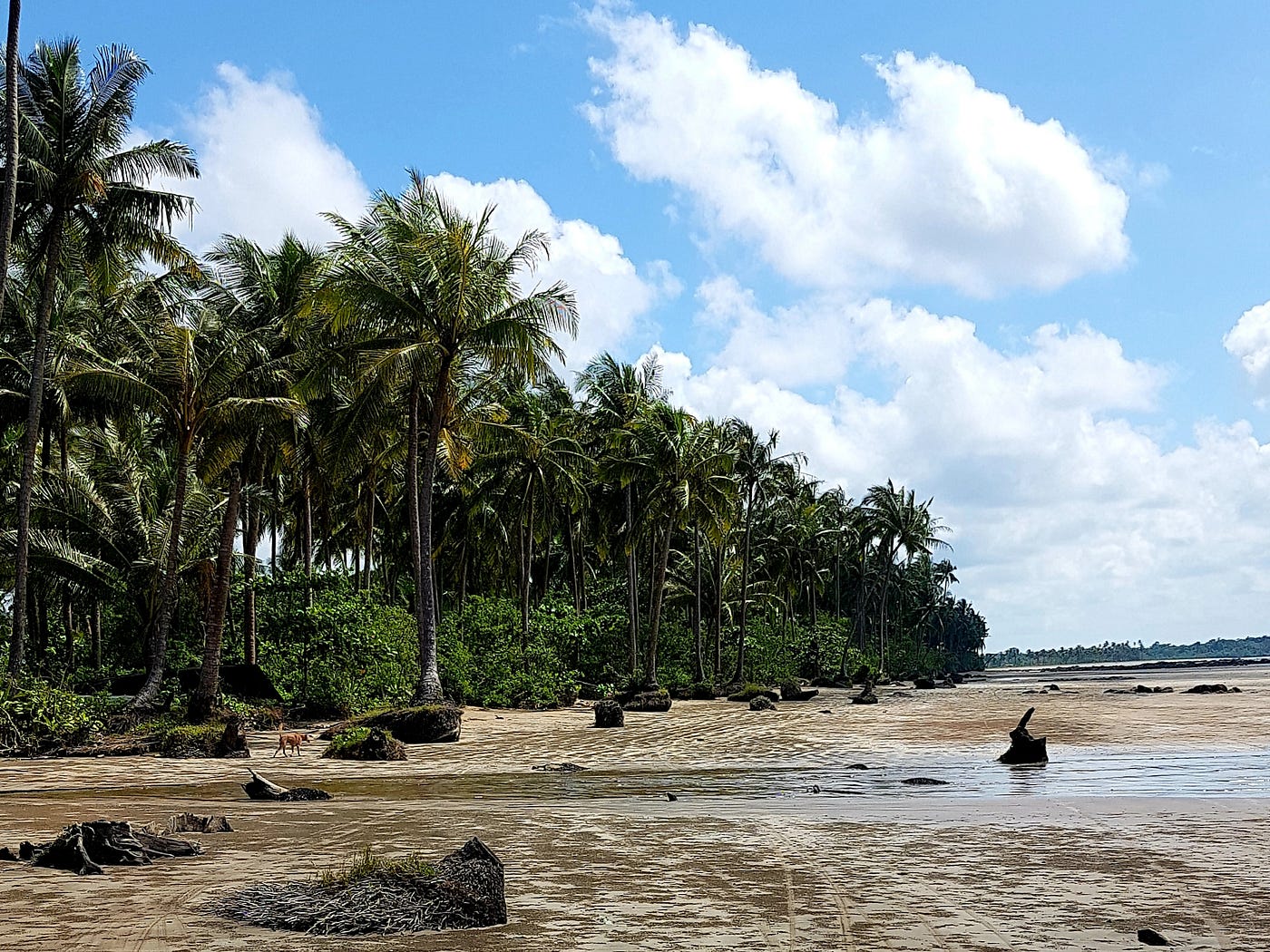 Beach photo from Ngwesaung