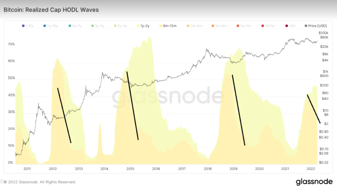 Analyse en chaîne Bitcoin un aperçu du 04/04/22 au 04/08/22 | de Heinrich Bredenkamp | Coinmons | avril 2022