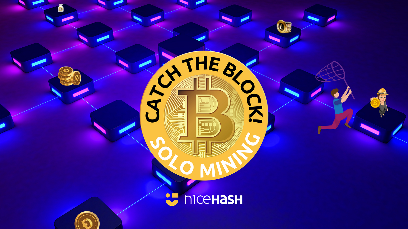 NiceHash Solo Mining Catch the Block Review | by Bitcoin Binge | The  Capital | Medium