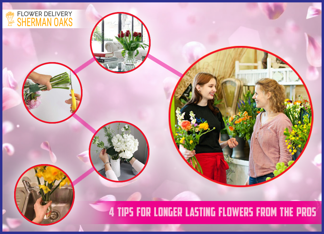 4 Vital Tips to Preserve Fresh Flowers for Longer Period of Time by