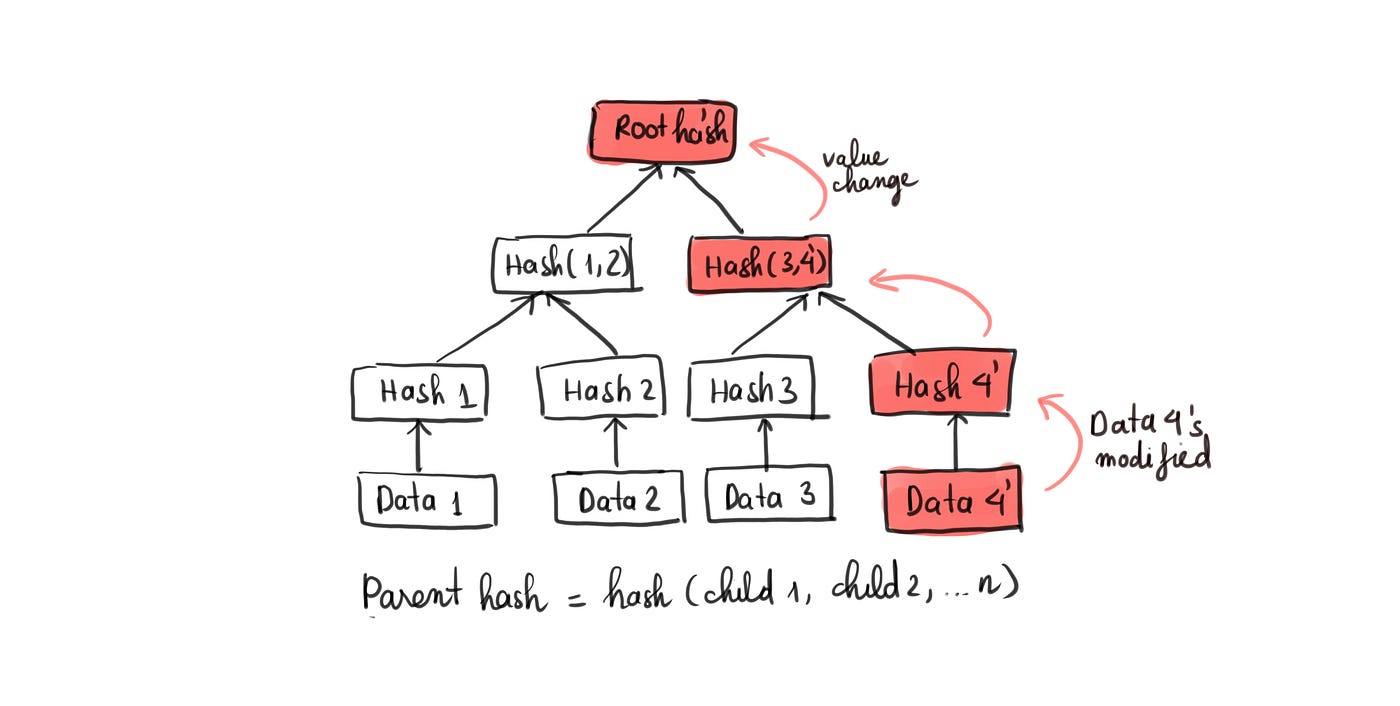 Ethereum Patricia trie - Merkle tree, Radix tree, and trie node | by ...