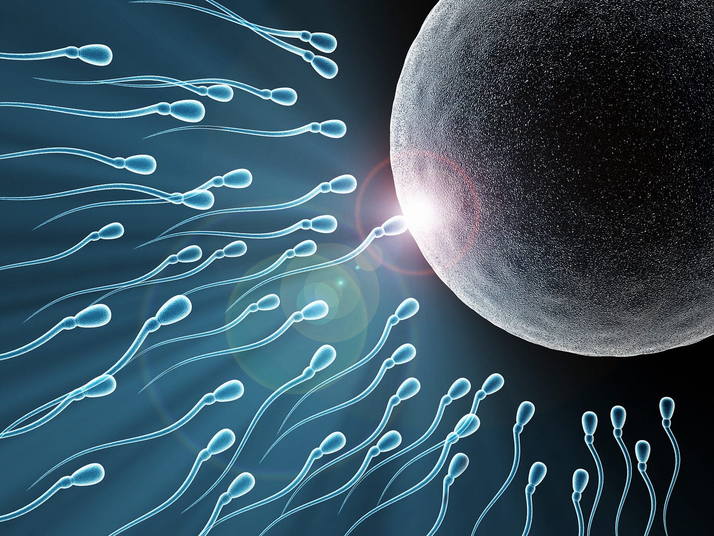 Women's Sperm