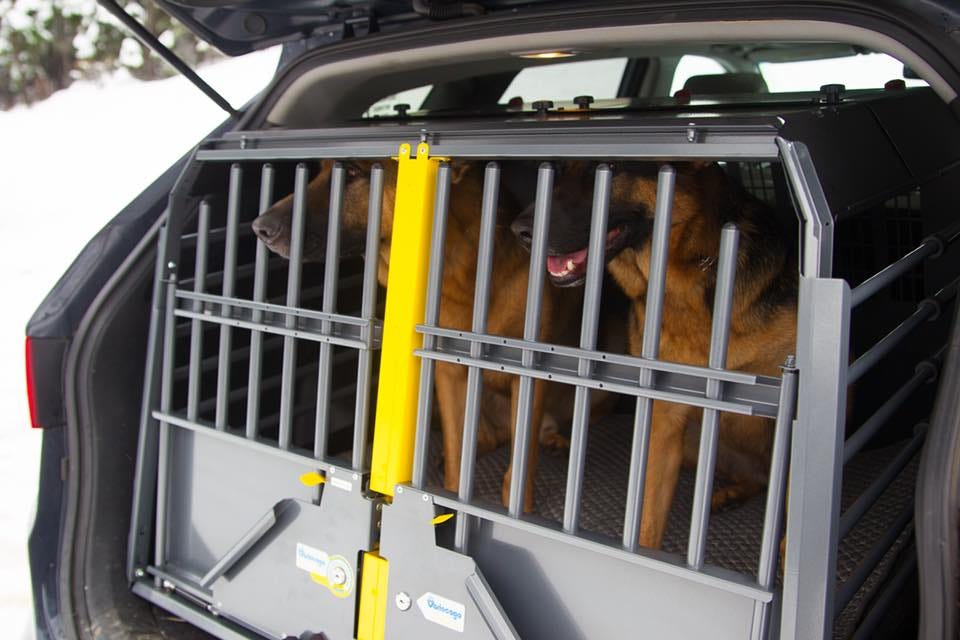 crash tested dog crates
