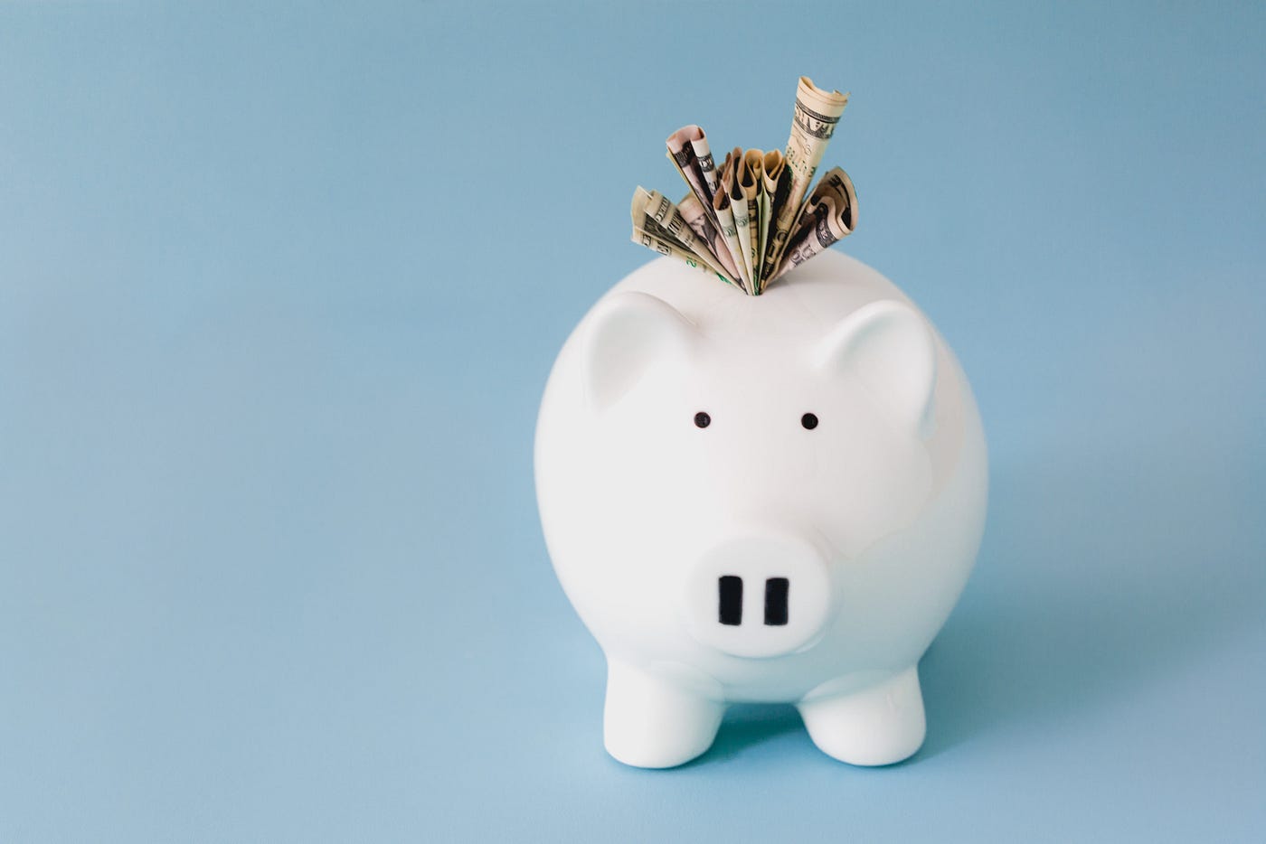 Your best friend — The Piggy Bank!