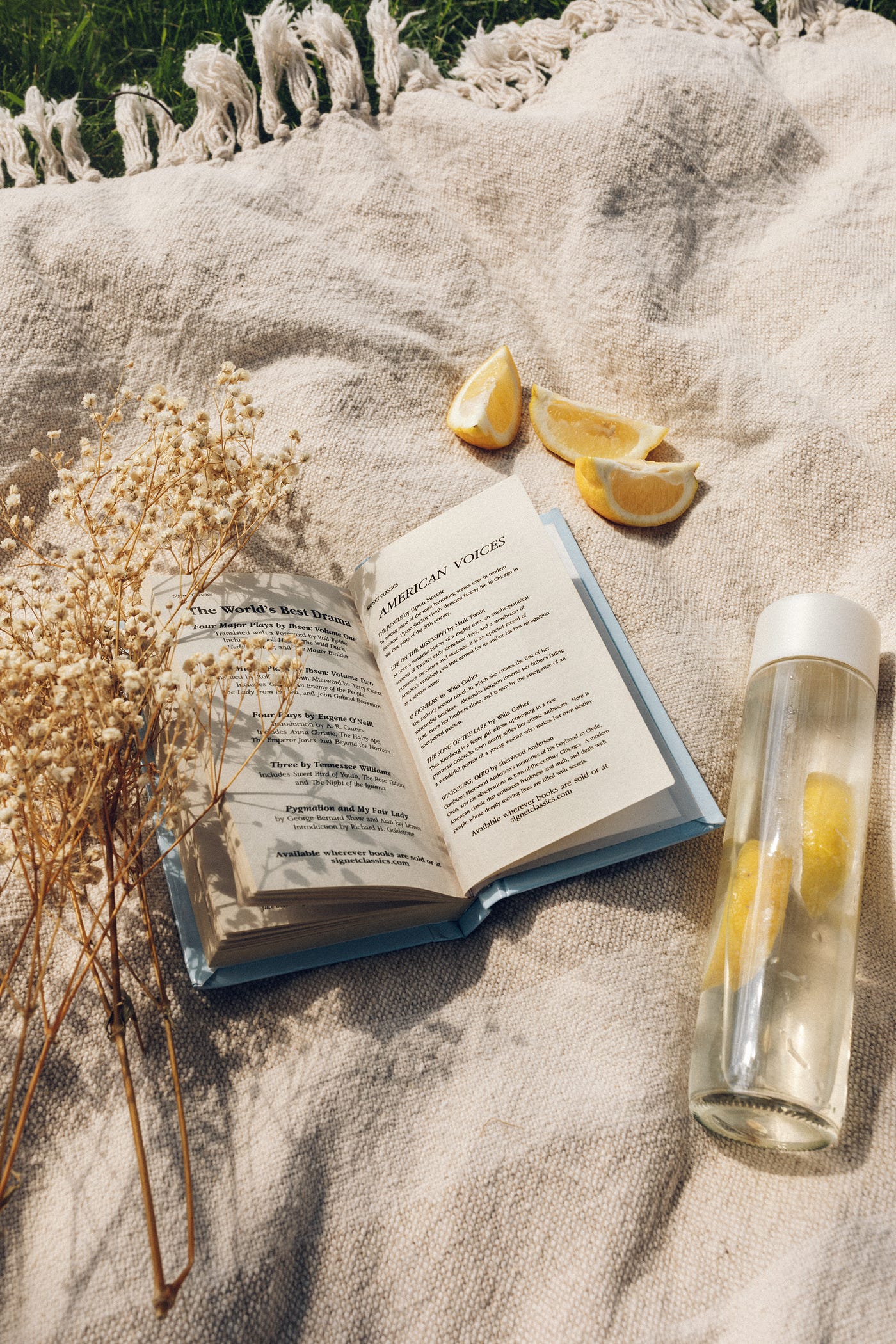 Top 5 Books I Ve Read In The Last 365 Days By Auriane Alx Ascent Publication