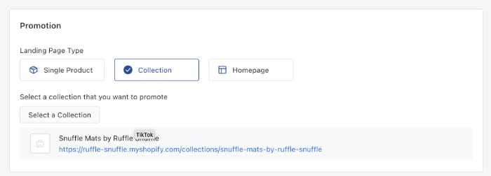 How to Sell on TikTok: Easy Guide for Shopify Pet Store Owners 1*CnTH2ME0plVJhyZYKQK9lw