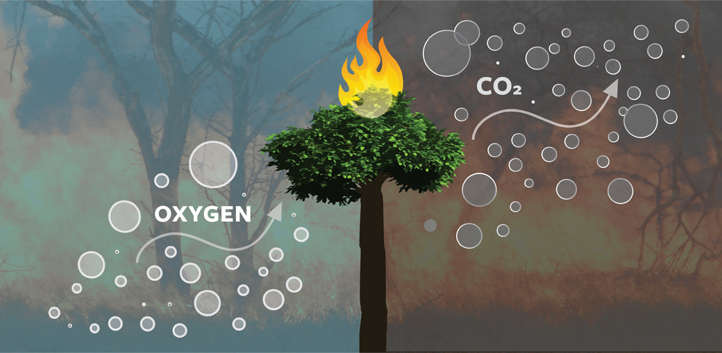 Stand For Trees Why It Matters. TREES GIVE US BEAUTY, SHADE, FOOD