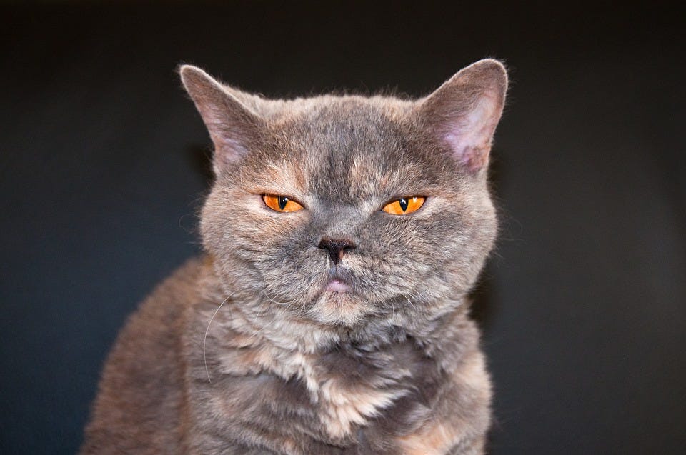 Why using prepush Git Hooks with Husky is not always a good idea