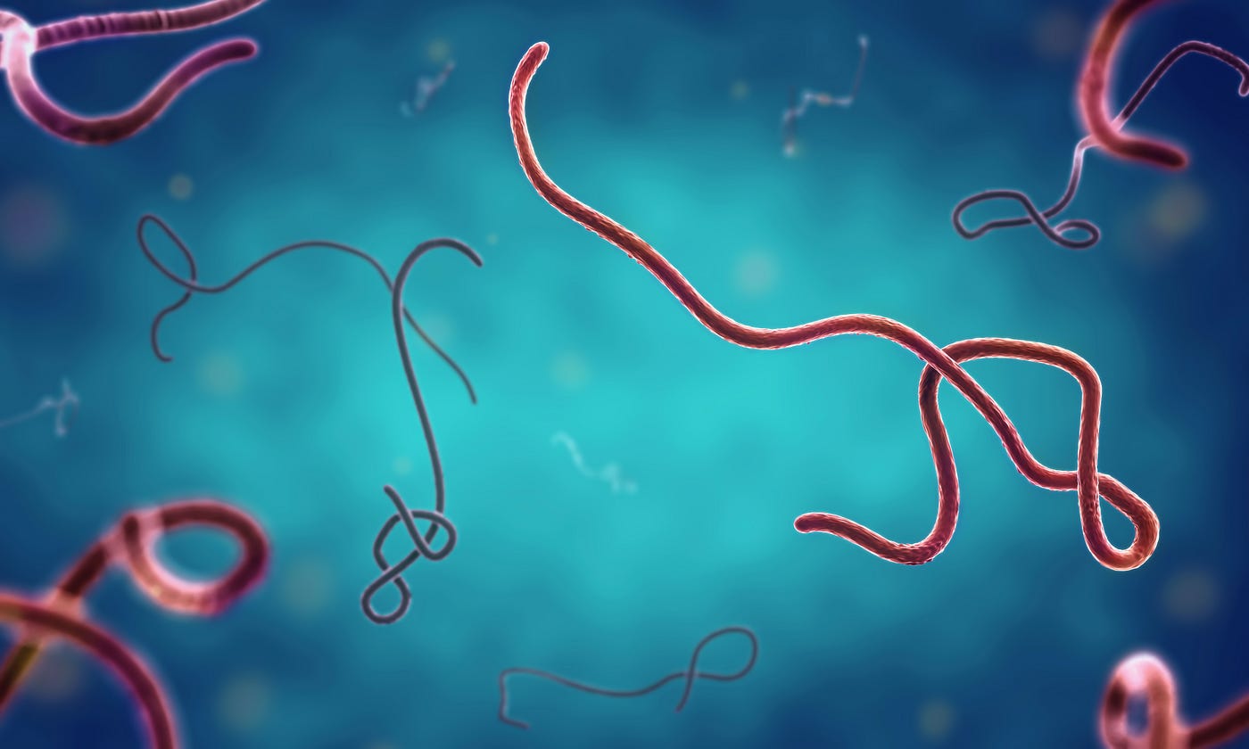 Ebola viruses on a blue background