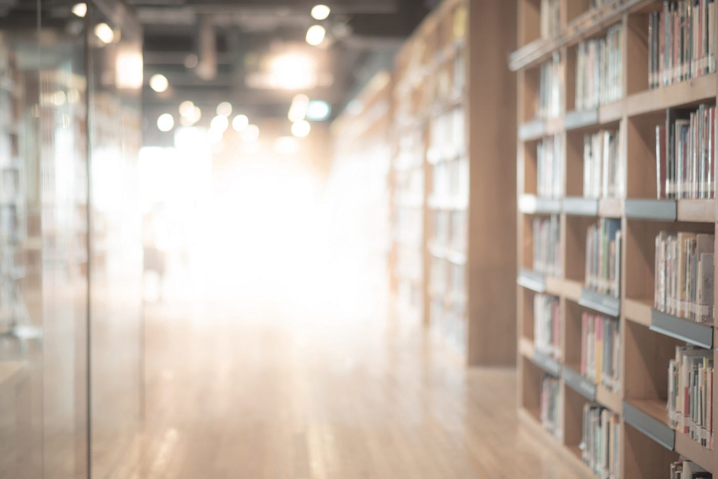 Blurry photo of library book shelves.