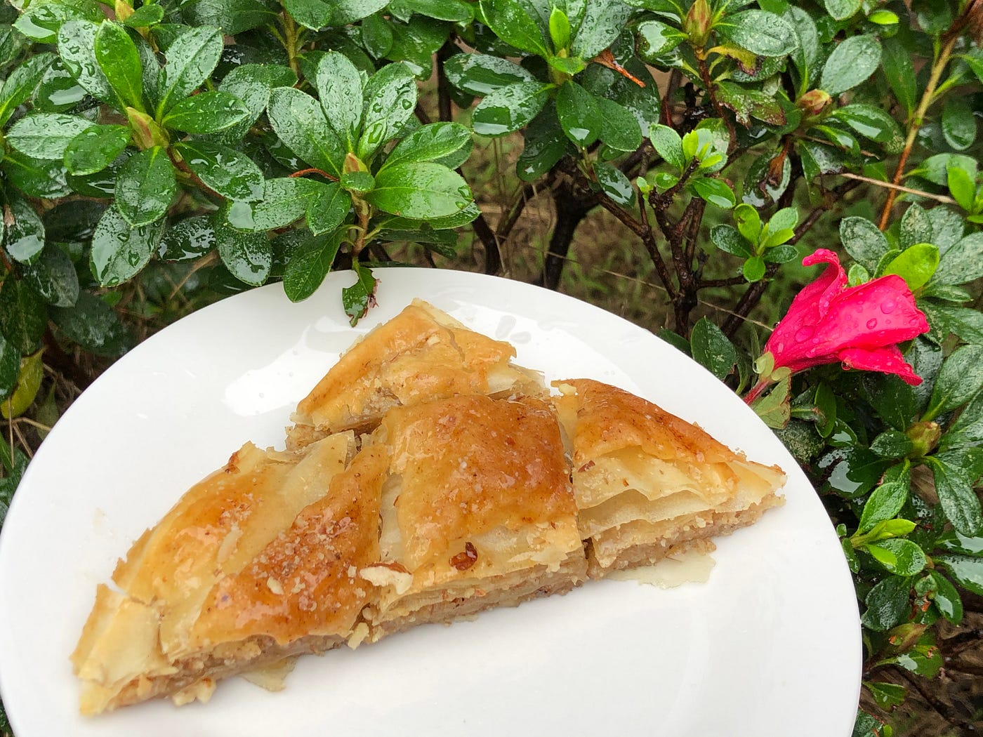 Easy Baklava using spring roll sheets by Healthy Recipes Medium
