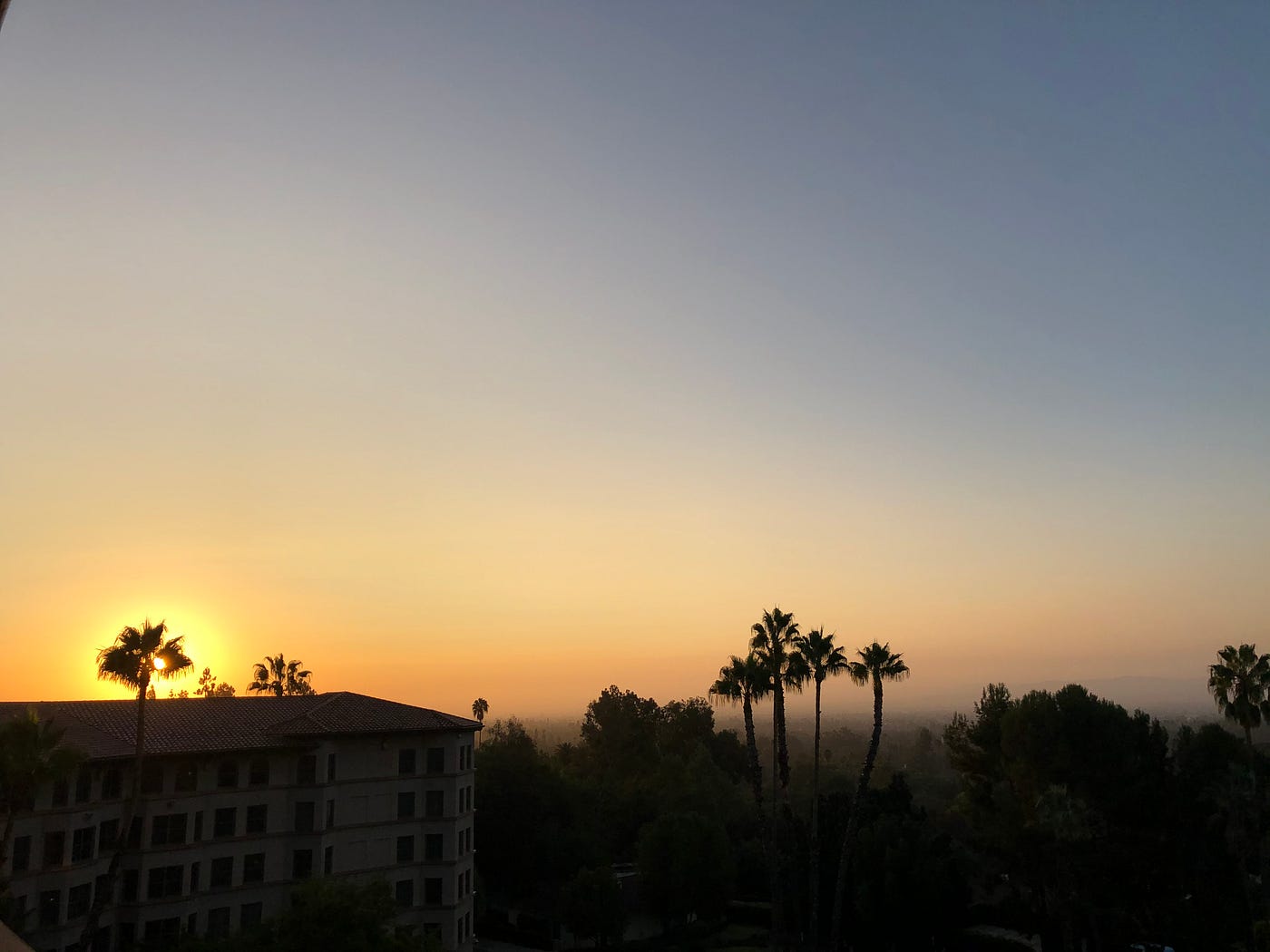 A view of the sun setting over silhouetted palm trees and buildings.