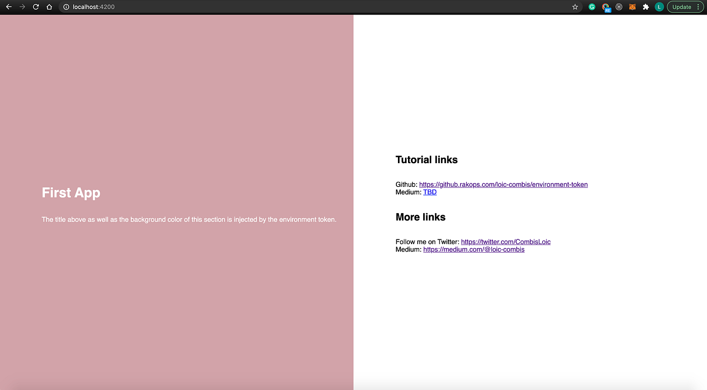 Environment sharing across libraries with Angular Injection tokens